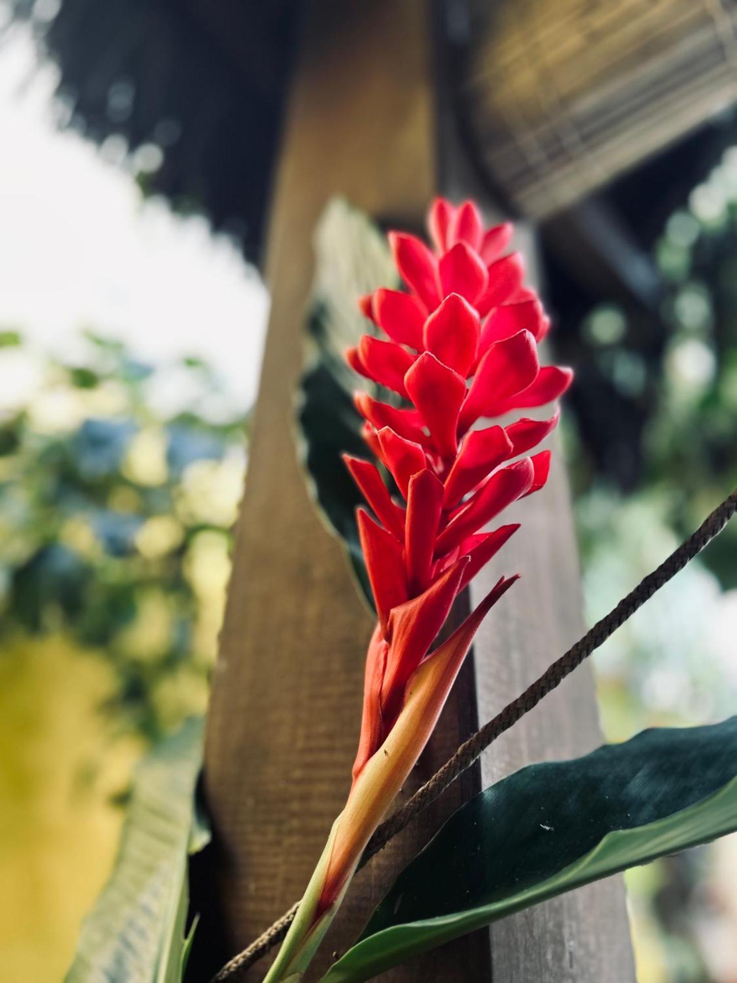 Pousada Velha Boipeba Luaran gambar